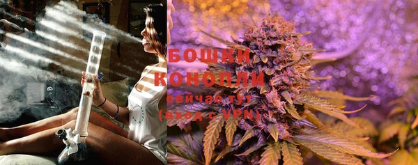 гашик Волосово