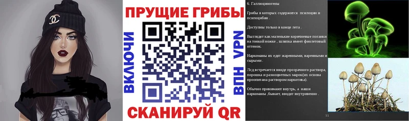 kraken ONION дарнет шоп Ногинск Галлюциногенные грибы Psilocybine cubensis